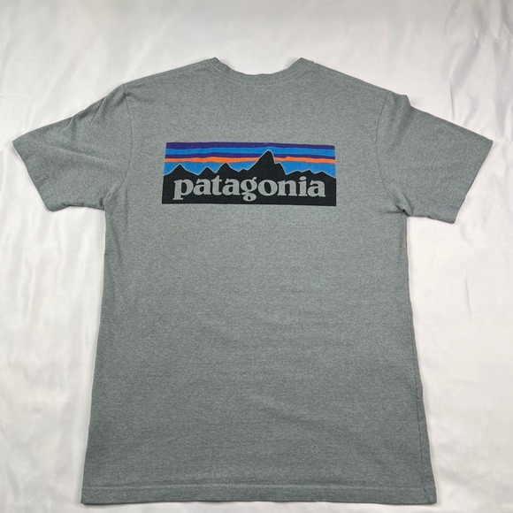 Patagonia Other - Patagonia T-Shirt (SMALL )